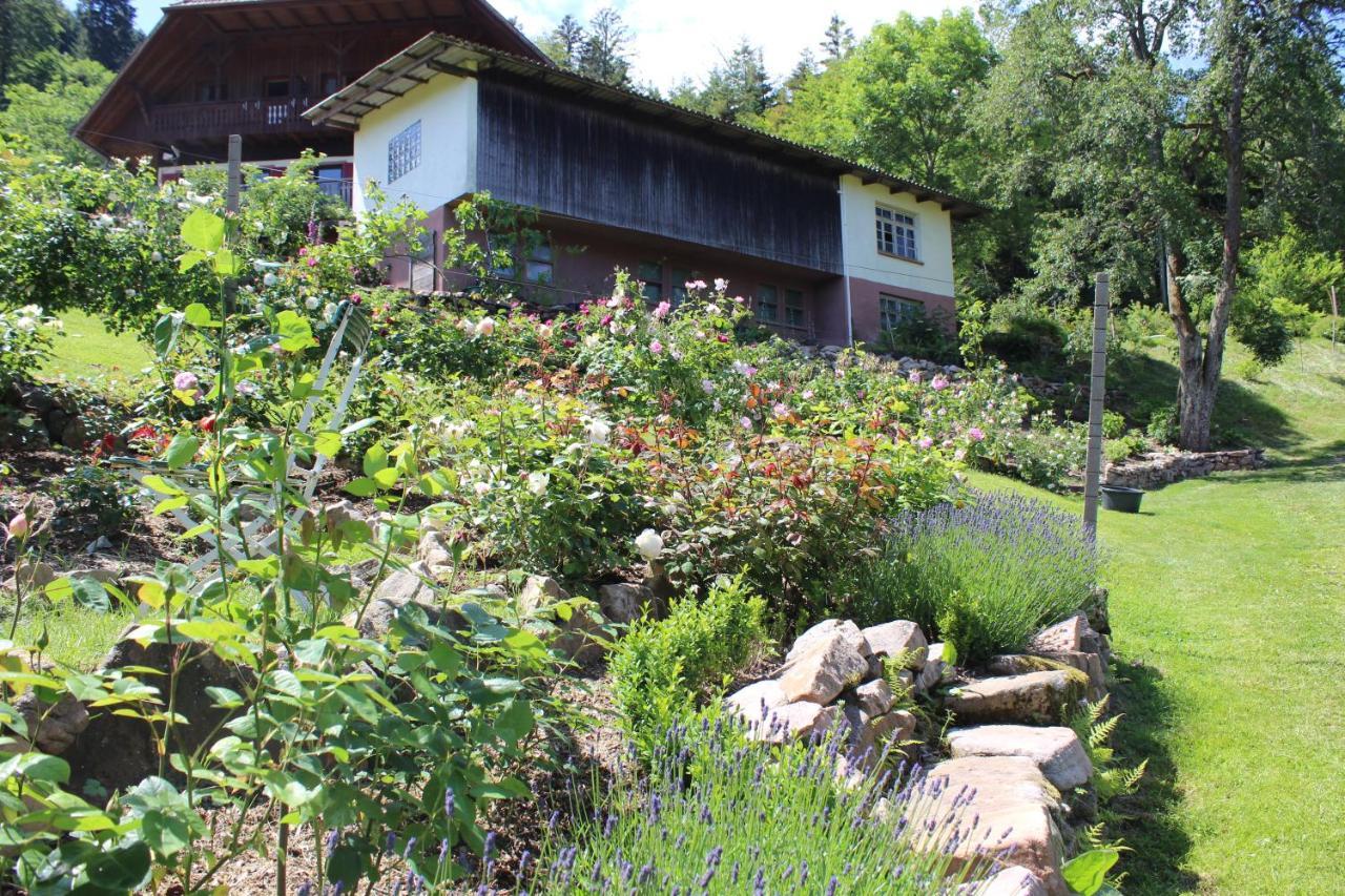 منزل الضيف Nordrach  في The Moosbach Garden المظهر الخارجي الصورة