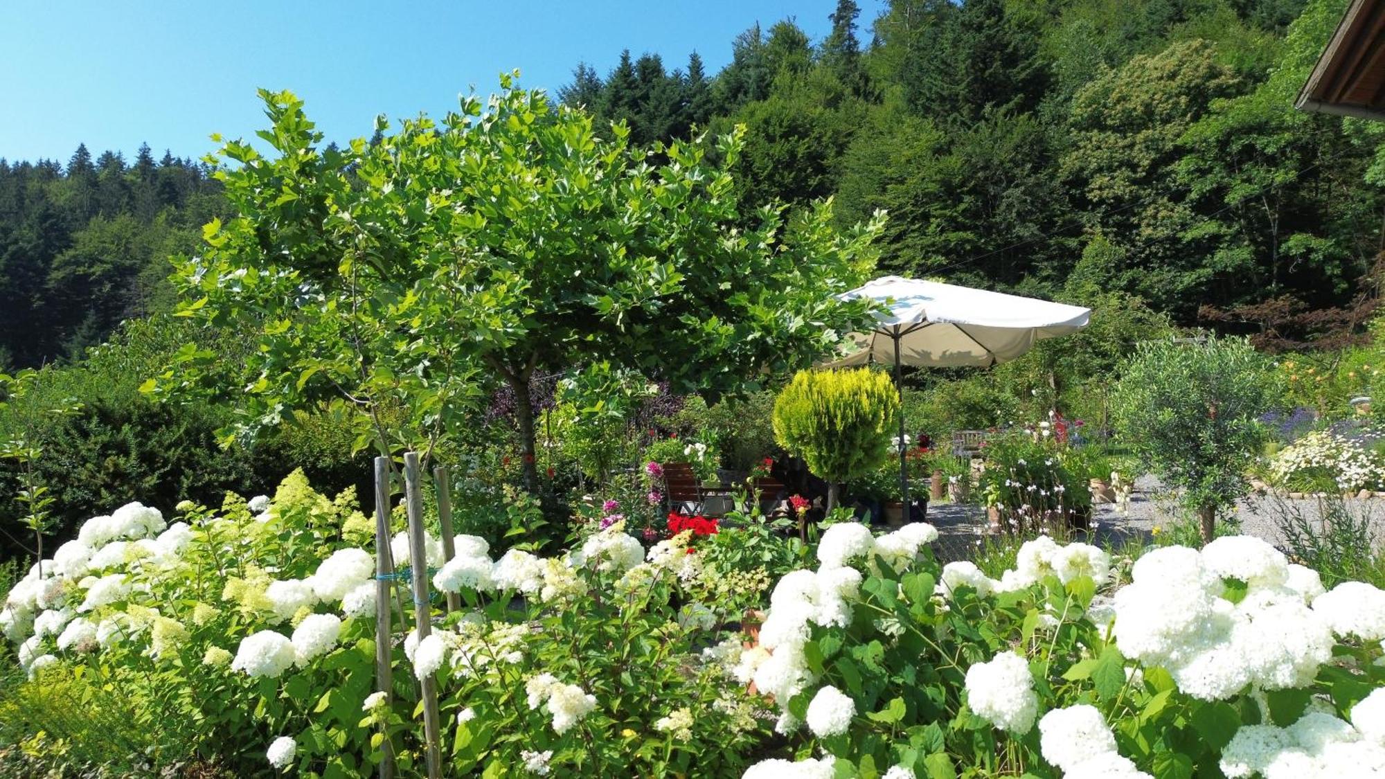 منزل الضيف Nordrach  في The Moosbach Garden المظهر الخارجي الصورة